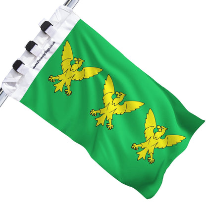 Caernarfonshire county flag with green background and yellow bird emblem, mounted on a boat rail using a universal triple-lock system, shown against a plain white background